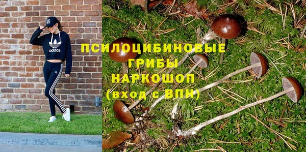 PSILOCYBIN Переславль-Залесский