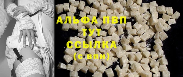 PSILOCYBIN Переславль-Залесский