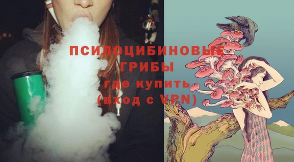 PSILOCYBIN Переславль-Залесский