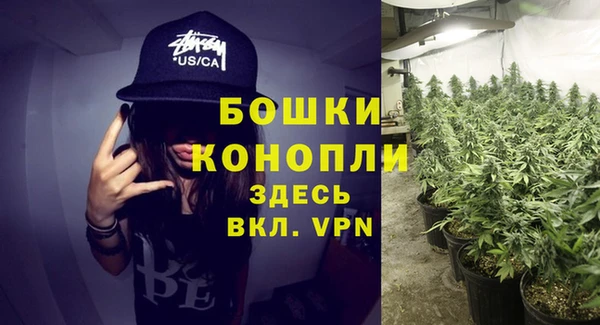 бутират Пересвет