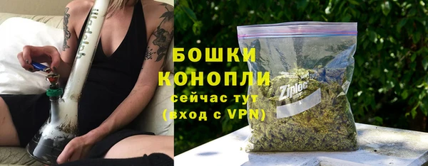 гидра Пестово