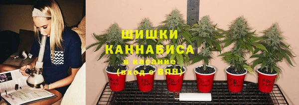 гидра Пестово