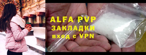 PSILOCYBIN Переславль-Залесский