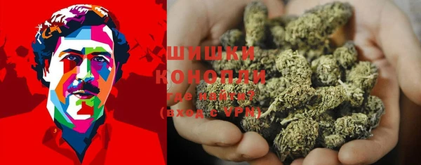PSILOCYBIN Переславль-Залесский