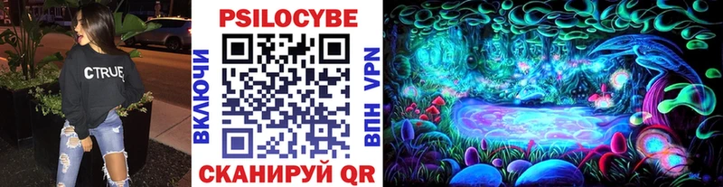 Псилоцибиновые грибы Psilocybe  Красный Сулин 