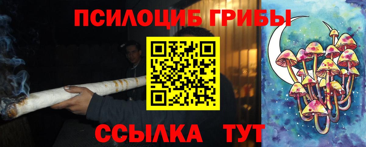 Красный Сулин  Галлюциногенные грибы прущие грибы  Вход с VPN 