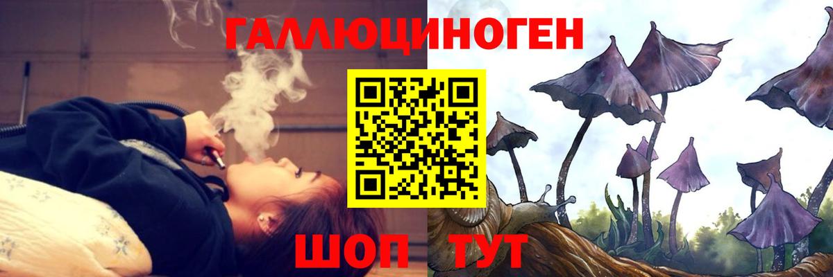 Галлюциногенные грибы MAGIC MUSHROOMS Красный Сулин